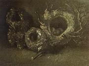 Vincent Van Gogh, Still life wtih Three Birds'Nests (nn04)